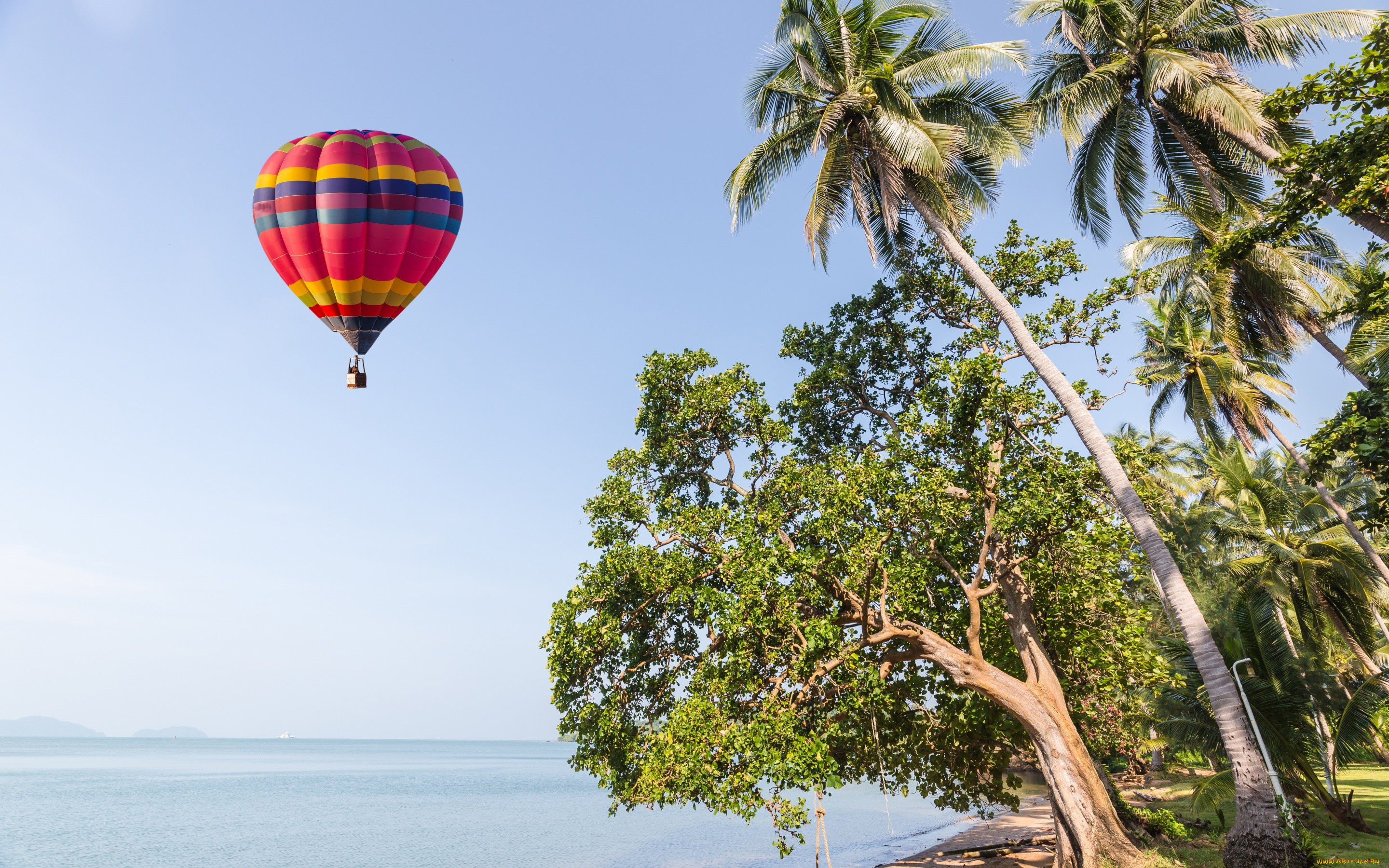 ,  , , paradise, , , beautiful, beach, palms, , , , , , sea, , sand, , summer, tropical, air, balloon, seascape